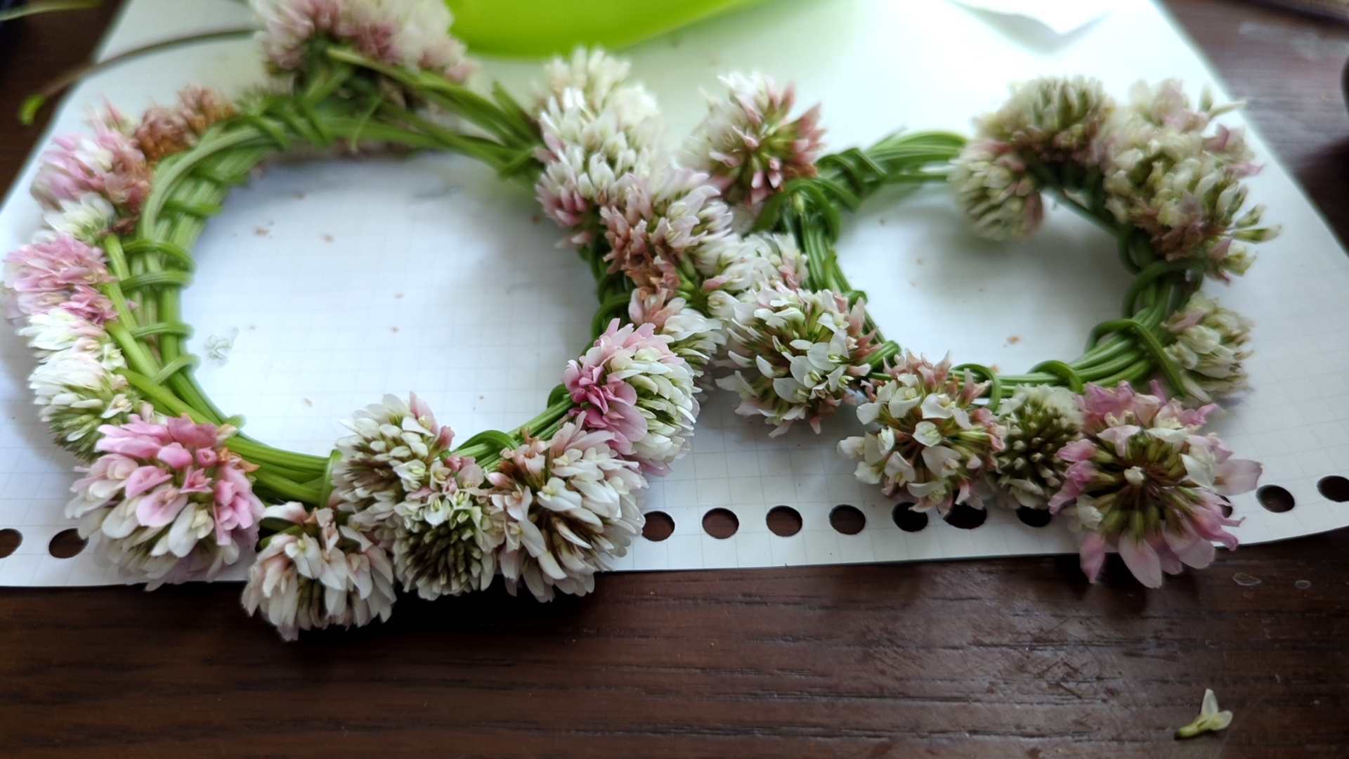 春の草花遊び（シロツメクサ）