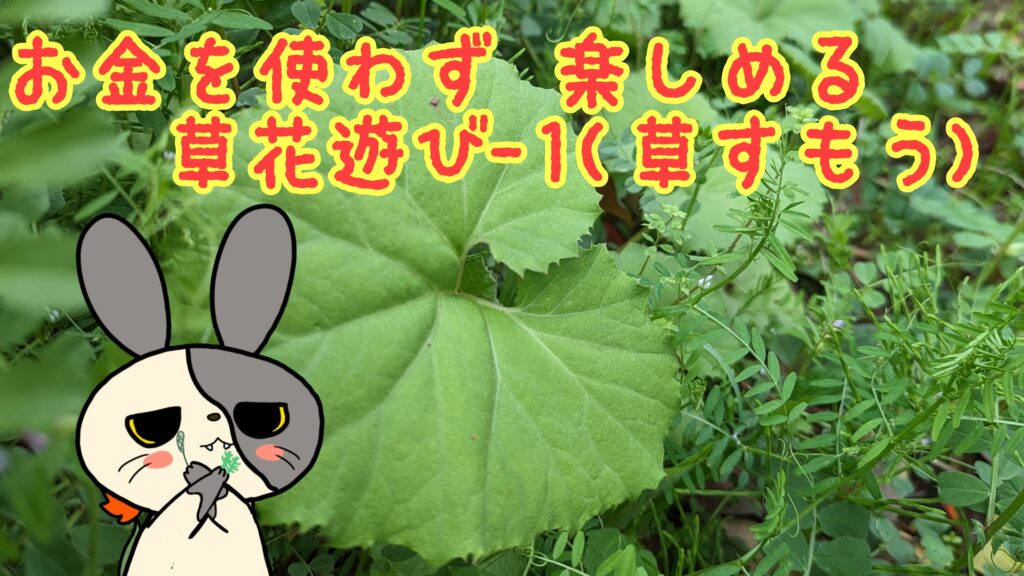 草相撲の遊び方を写真付きで紹介（オオバコ・シロツメクサ・松の葉・カタバミ）
