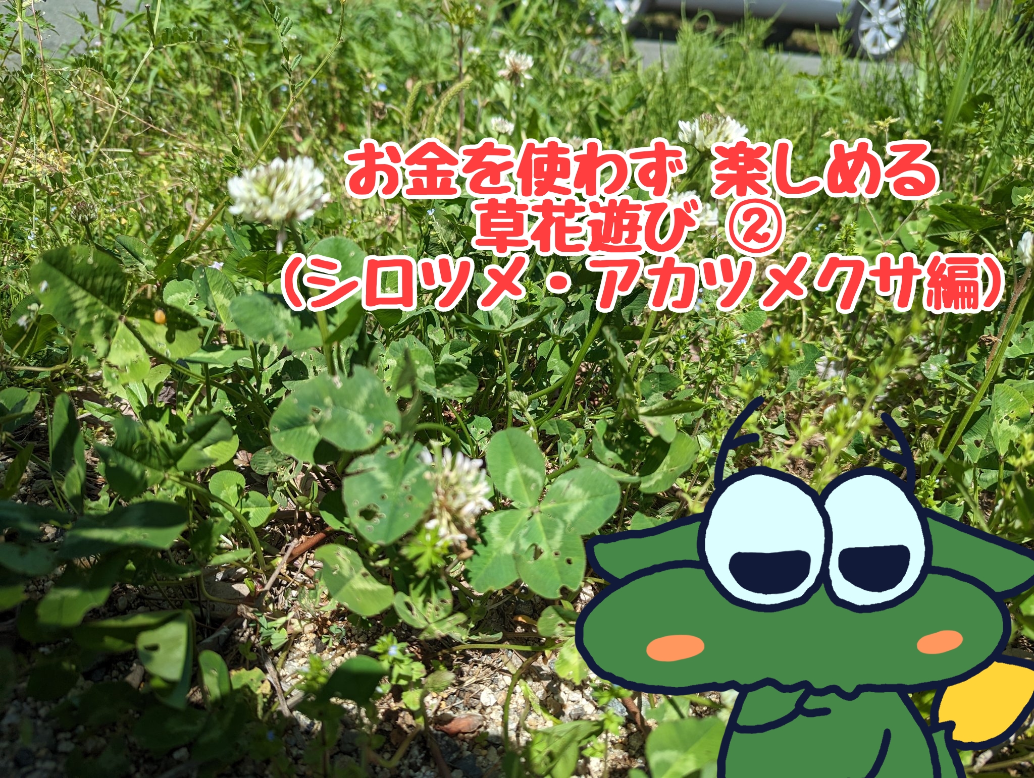 シロツメクサの遊び方を4つ画像付きで紹介！花鉄砲・ネックレス・花冠・押し花