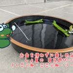 ヨシ（アシ）・へクソカズラを使った遊び方（草ぶね・草笛・リース）作り方の写真付きで紹介