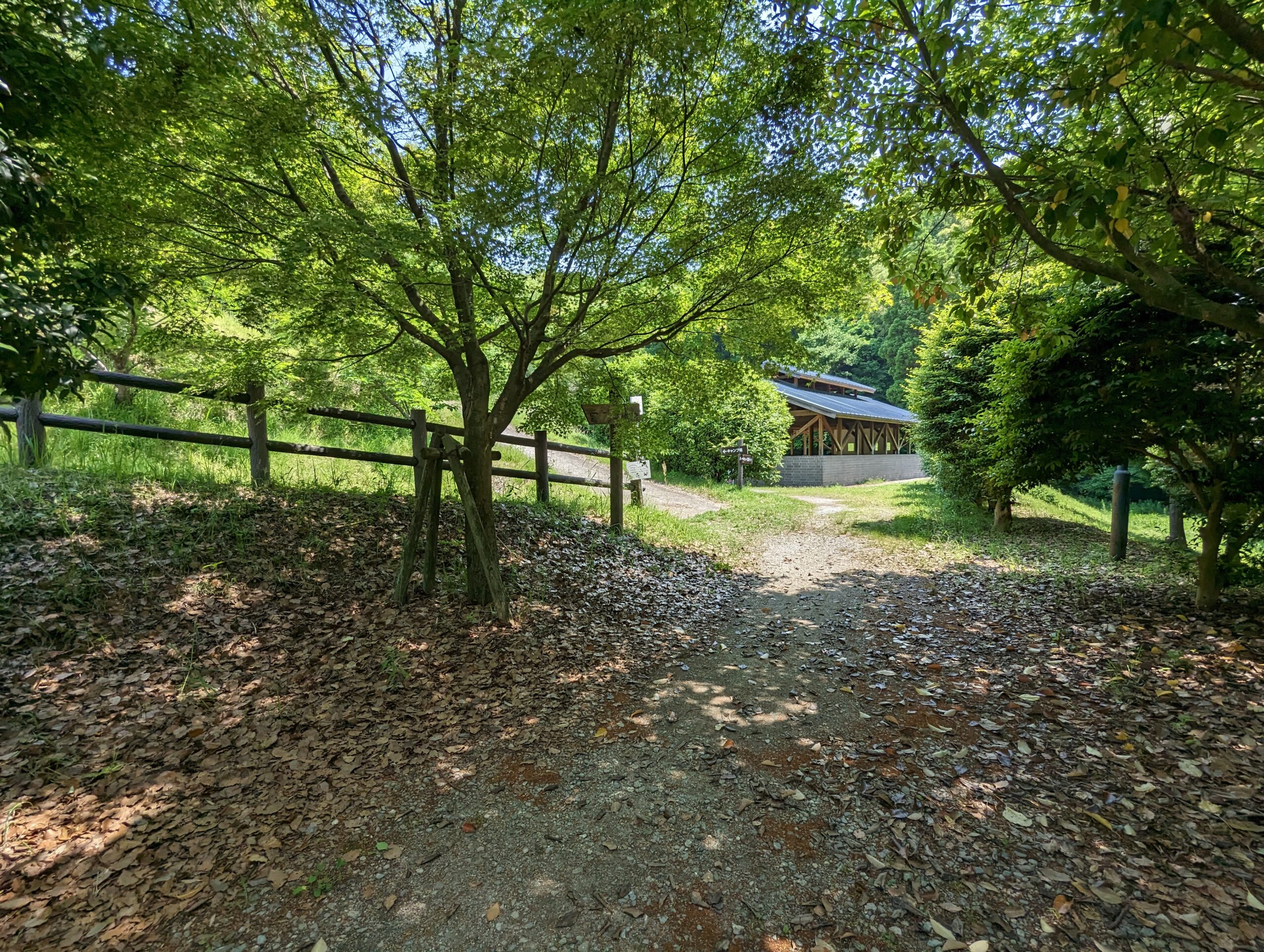 高田濃施山公園キャンプ場[福岡県]：  最新情報