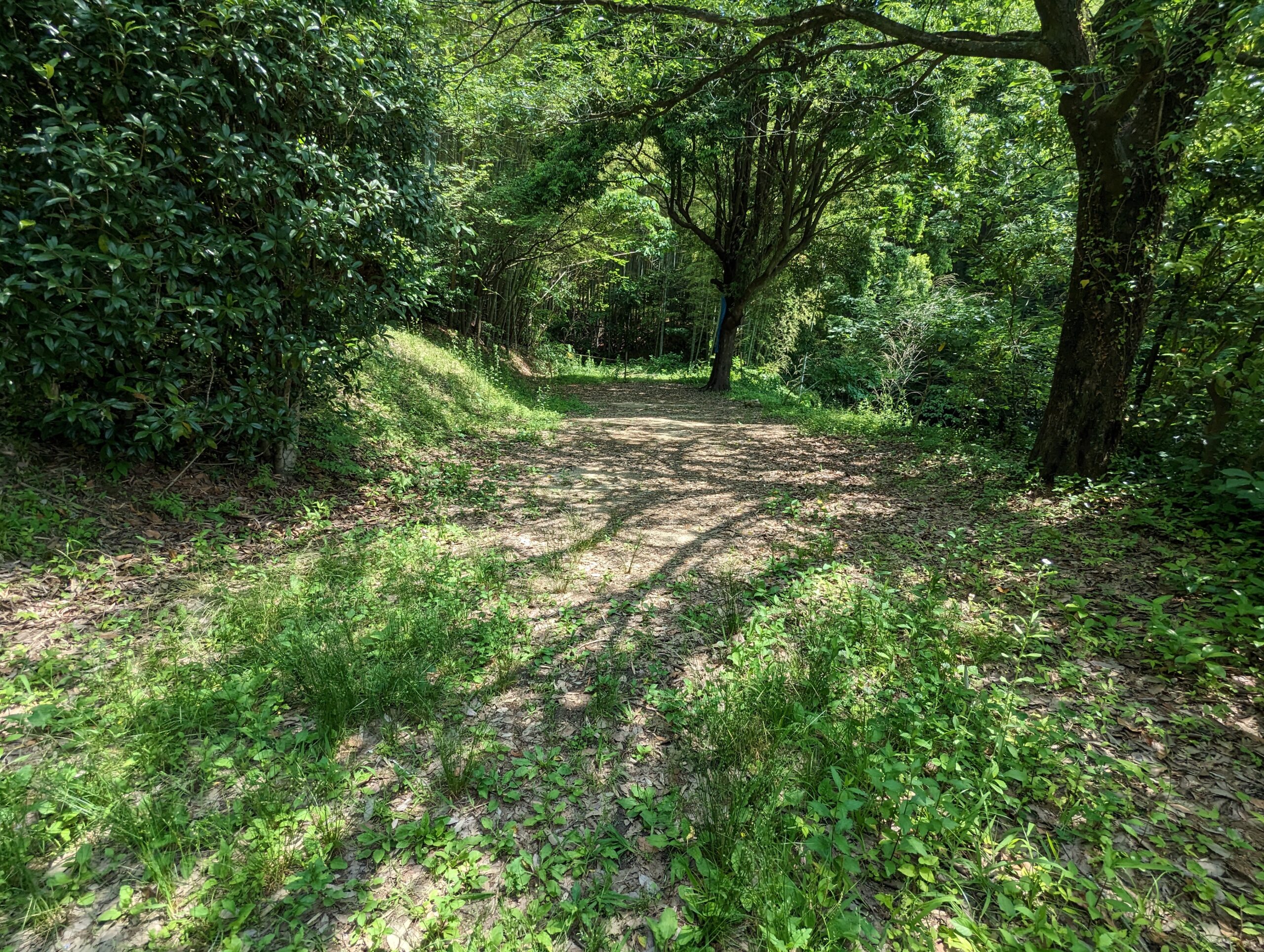 高田濃施山公園キャンプ場
