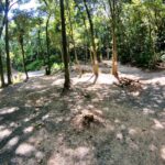 丸山キャンプ場(小岱山ふるさと自然公園ビジターセンター)： 最新情報