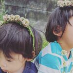 草遊び をする上で気をつけたいことをまとめてみた：ケガ編