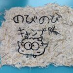 雑草から紙を作る:エノコログサ (必要な物・作り方・書き心地など)写真付きで紹介