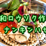 和ろうそく(ナンキンハゼ)を作ってみた！写真と動画を撮りながら1からやっていく！！！