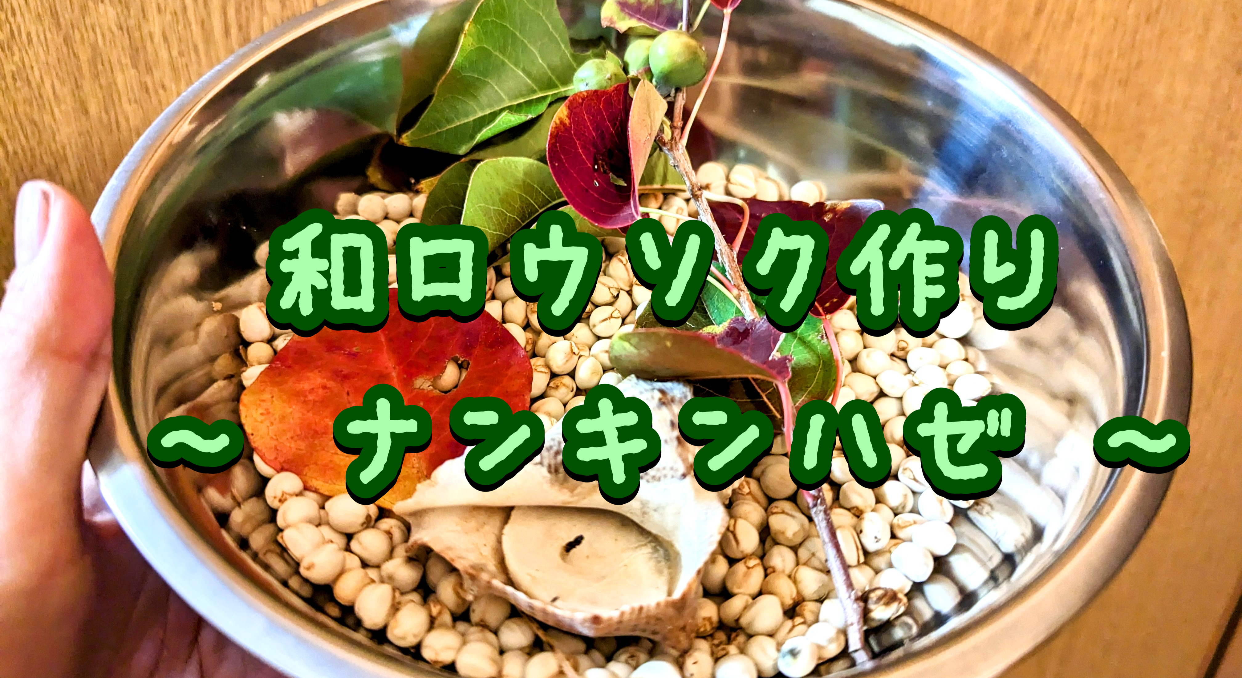 和ろうそく(ナンキンハゼ)を作ってみた！写真と動画を撮りながら1からやっていく！！！