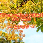 オーガニック洗剤を作って作り方を写真付きでまとめてみた！