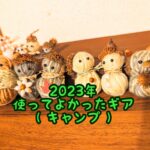 ２０２３年キャンプで使ってよかったもの（私と旦那別５選）