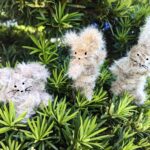 簡単 ぬいぐるみの 作り方(材料は植物だけ!?) 簡単 ぬいぐるみの 作り方(材料は植物だけ!?)