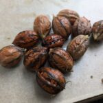 くるみの処理と食べ方完全版！下処理・保存・殻割りから絶品レシピまで