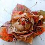 落ち葉で遊ぼう！ 落ち葉のお花の作り方！