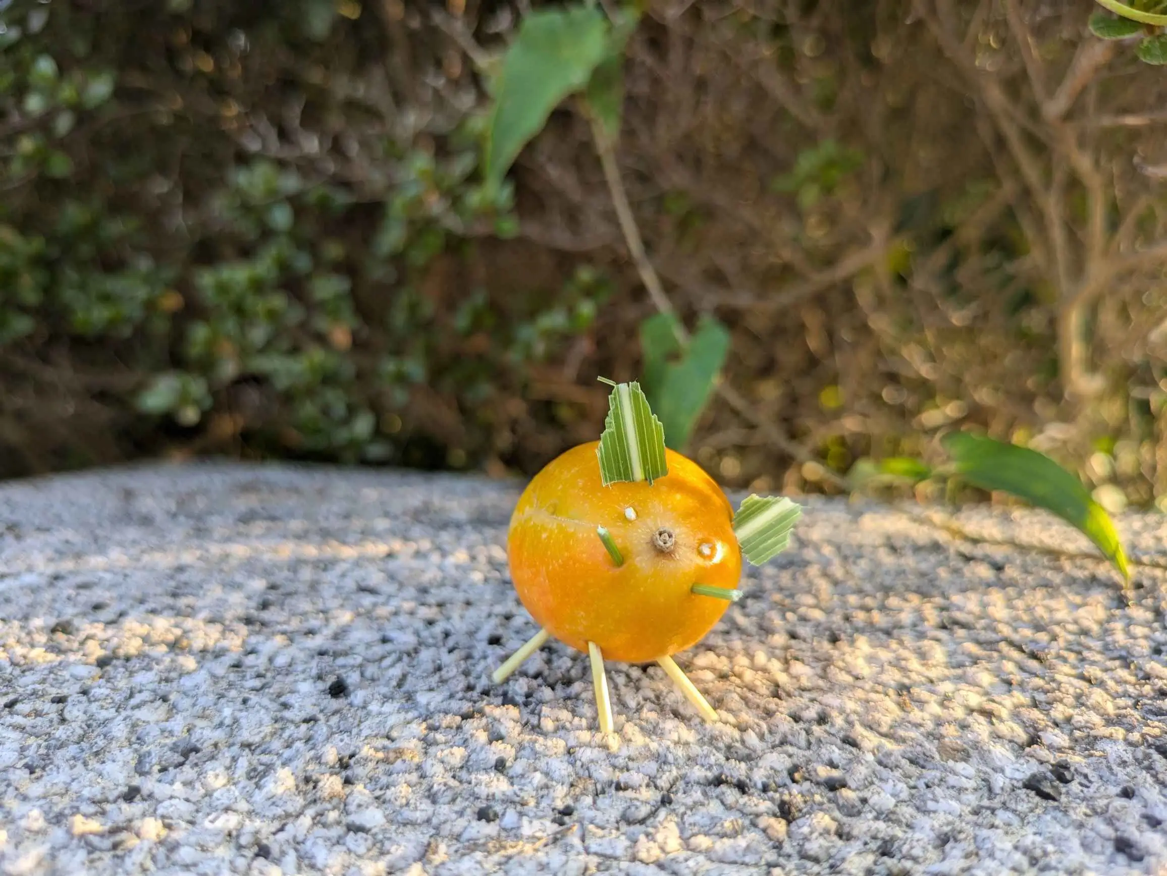 秋のイベントイメージ