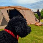 ペットとキャンプの教科書🏕️ 初心者も安心！魅力・準備・注意点＆アフターケア完全網羅