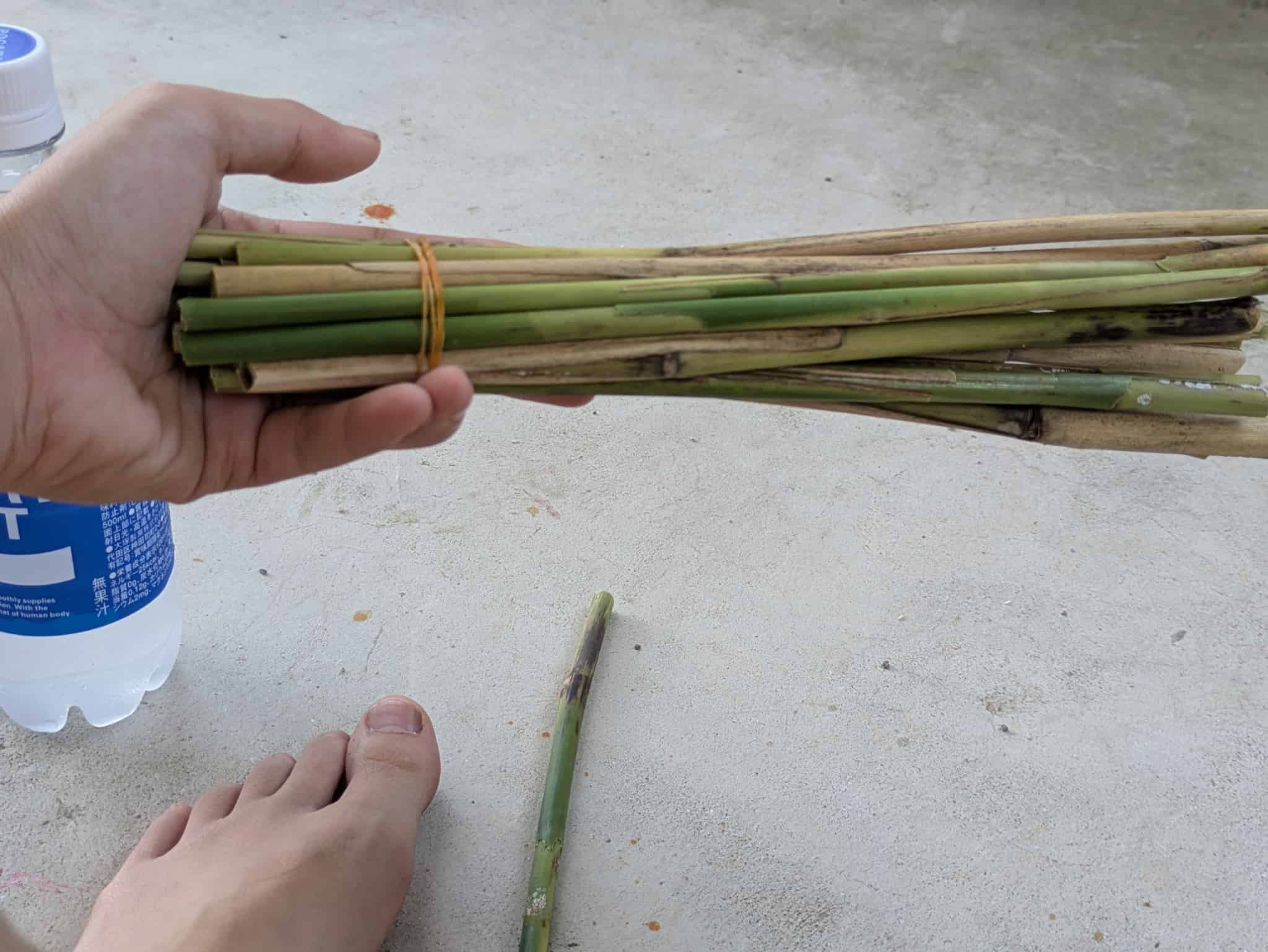 束ねて輪ゴムで止めた様子