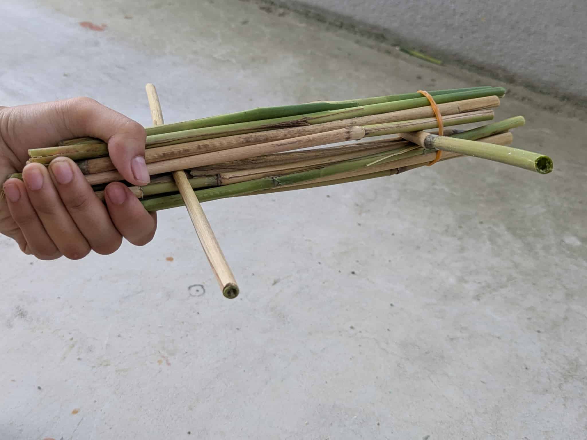 前後に入れている様子