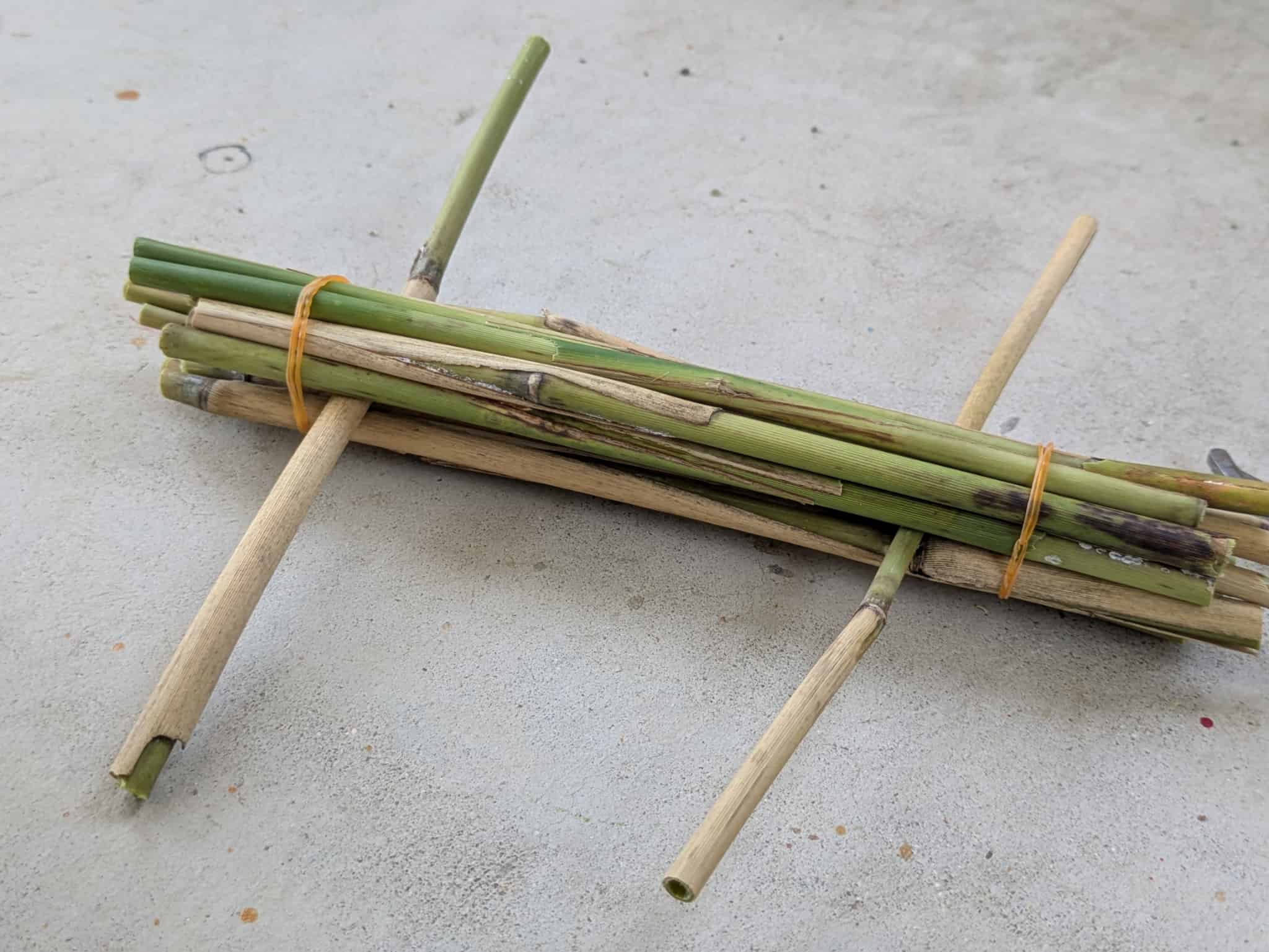 フレーム入れ完了