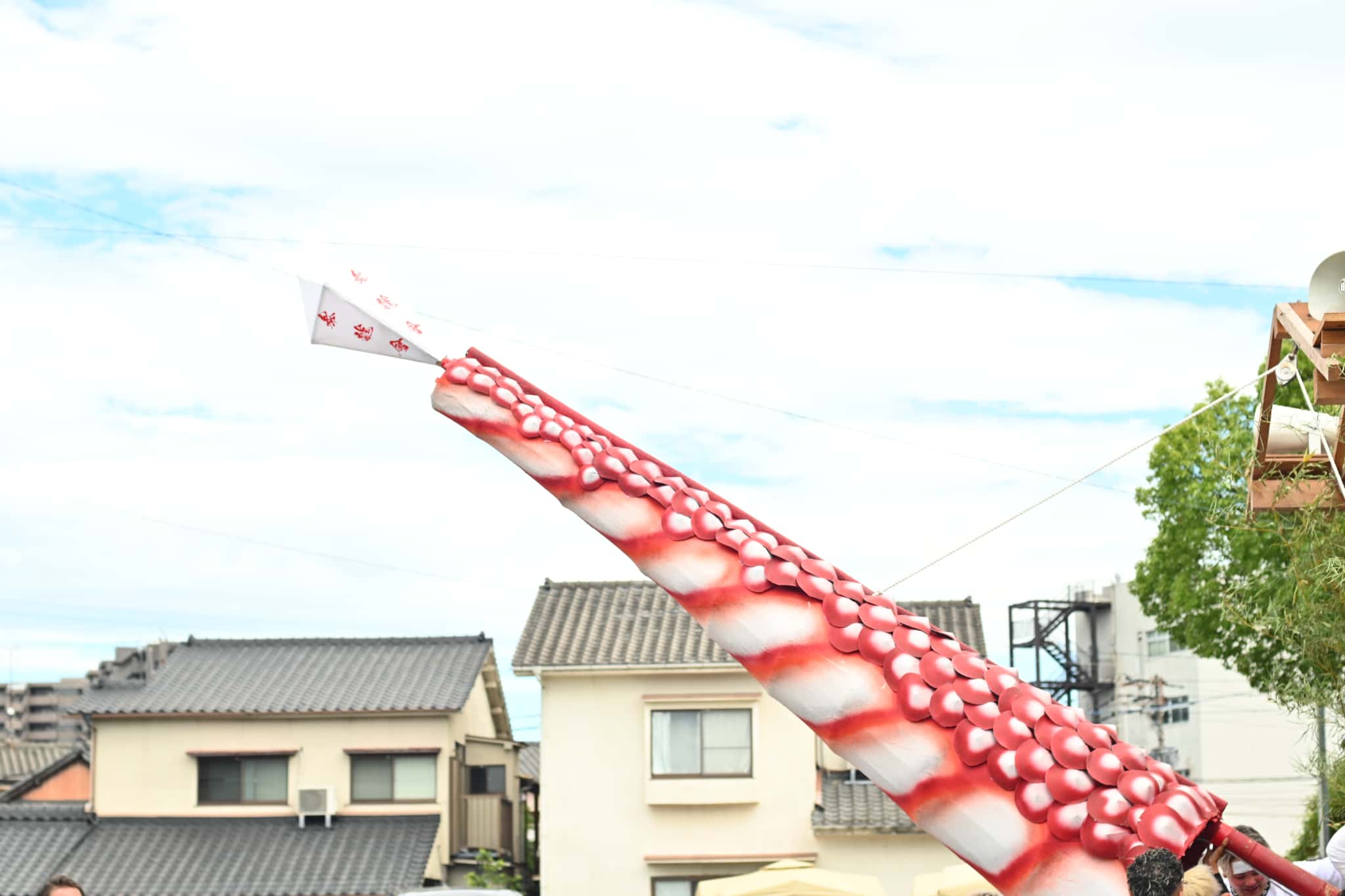 明治泰龍会のしっぽ