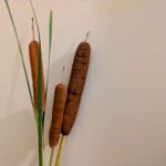 【親子でDIY】ガマの穂が最強の着火剤に！夏休みの自由研究＆オリジナルキャンプギア作り