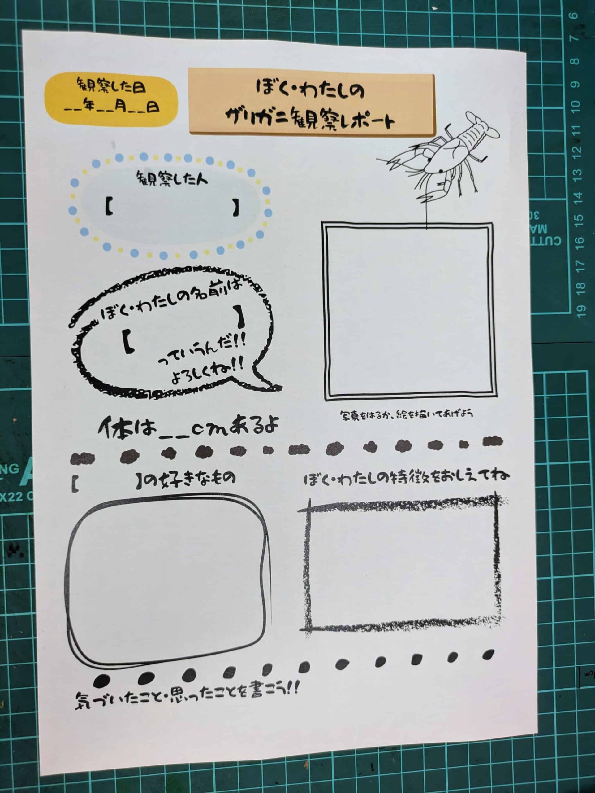 ザリガニ観察レポート用紙のプレビュー画像