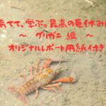 キミもザリガニハンター！捕獲から飼育まで【夏の冒険完全ガイド】