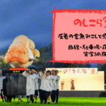 のしこら祭 完全ガイド｜名物”金魚みこし”と花火の見どころ＆楽しみ方を徹底解説
