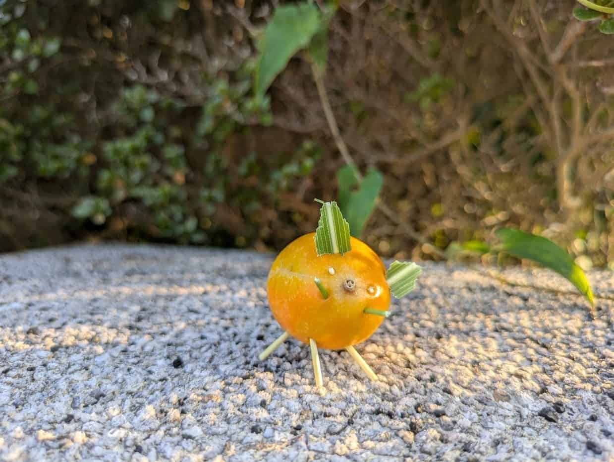 キカラスウリのイノシシ