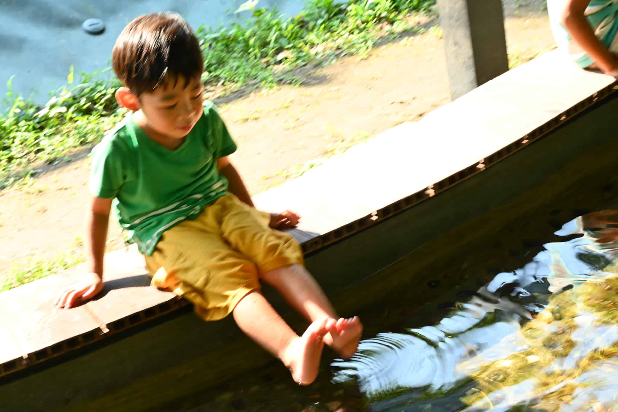 白川水源の売店や周辺の様子