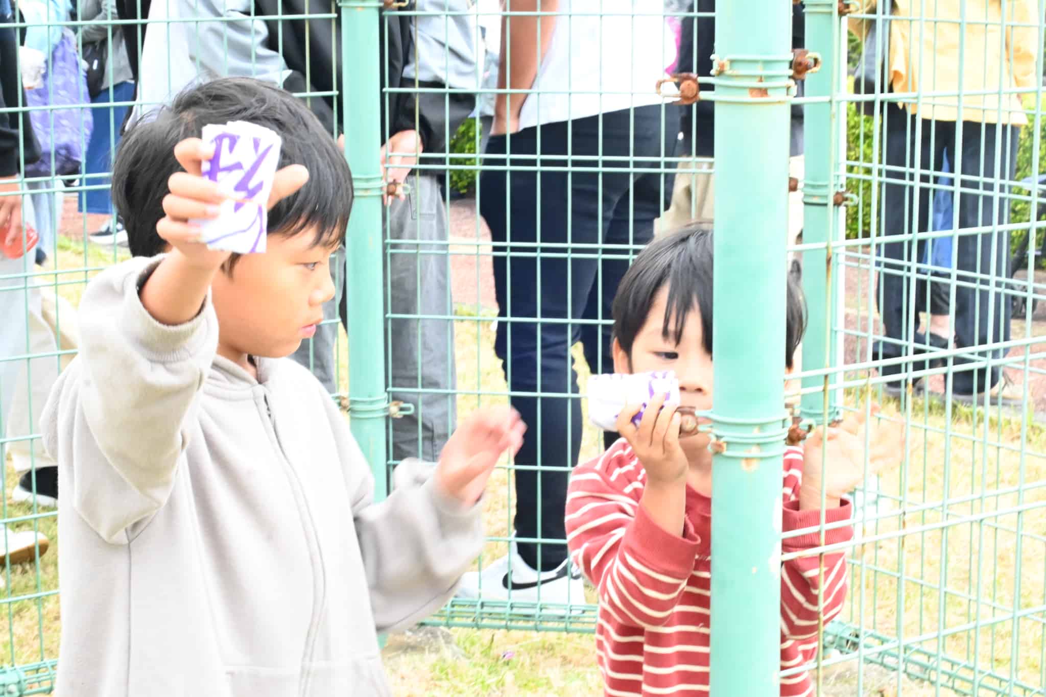 子供がゲットした蛇踊りの縁起物の手ぬぐい