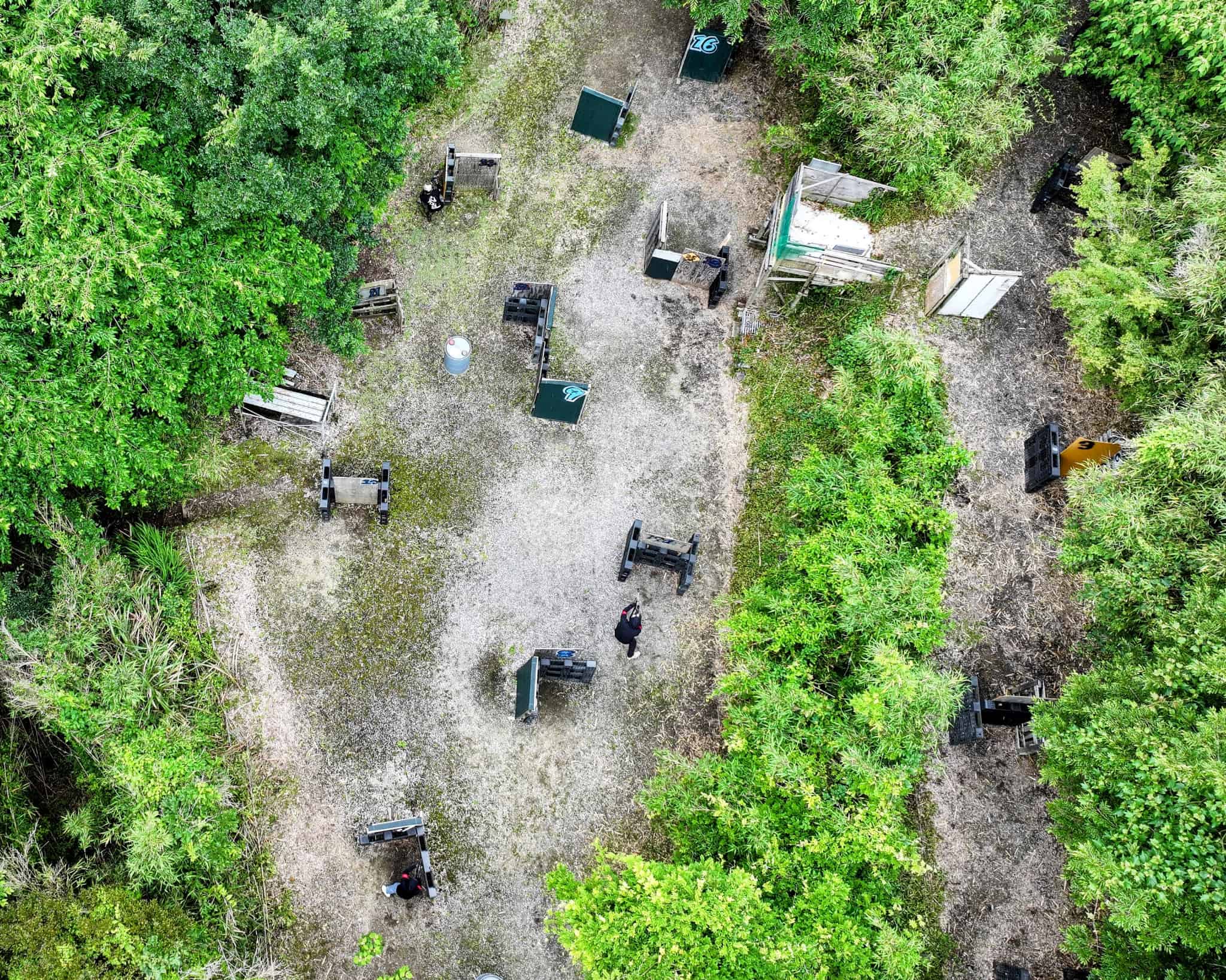 フィールド内の様子