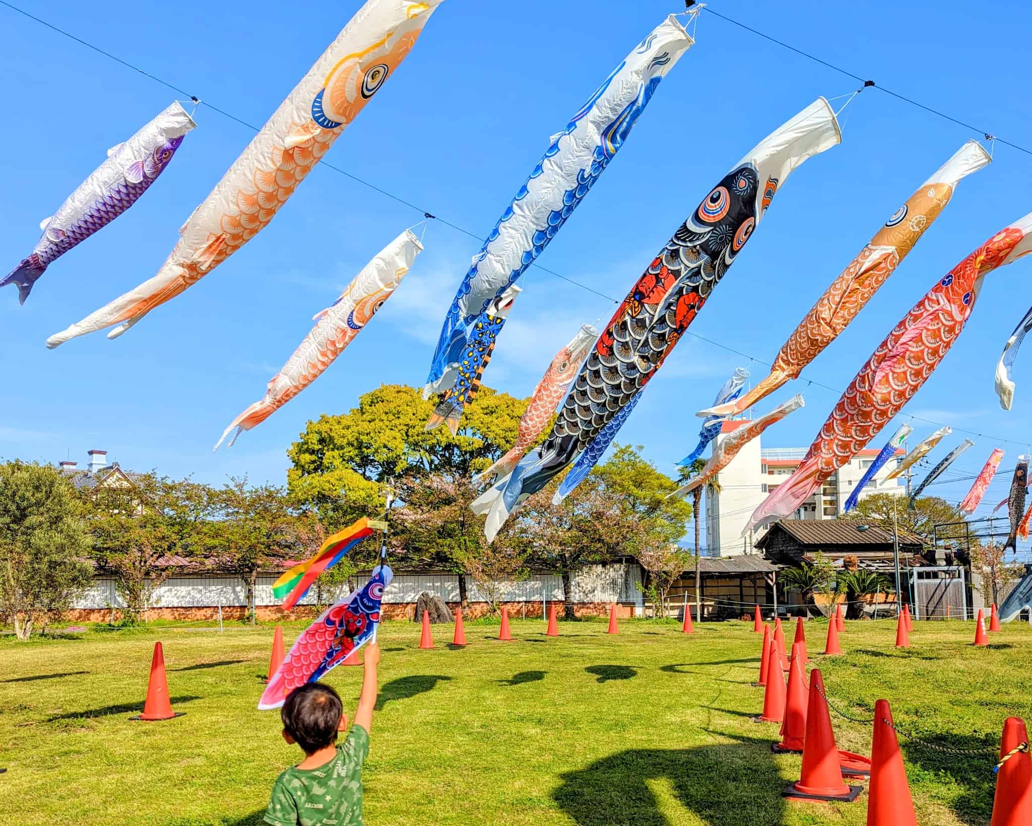 坑口前にたくさんのこいのぼりが飾られている様子