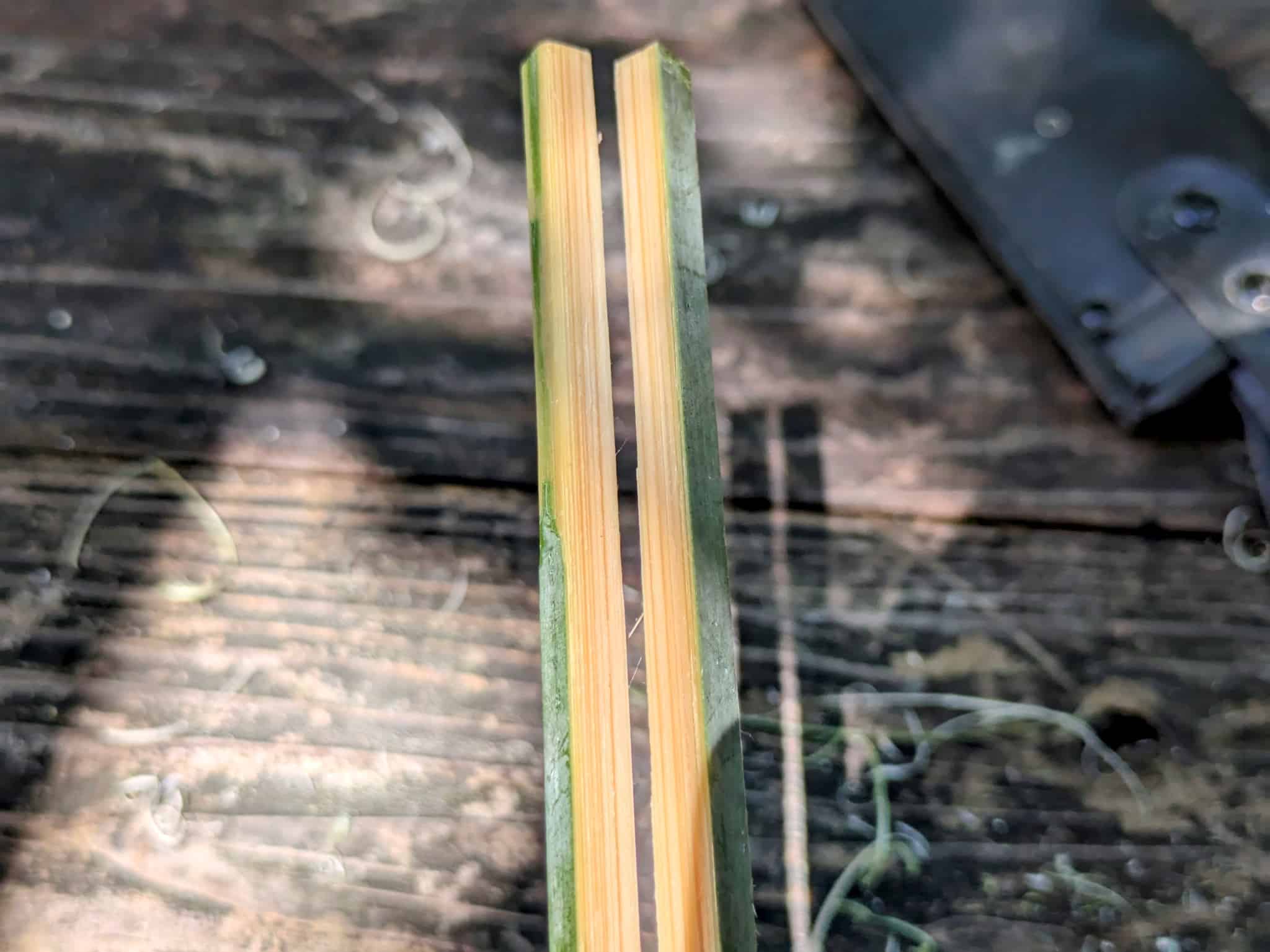 同じ太さの竹を2本用意する