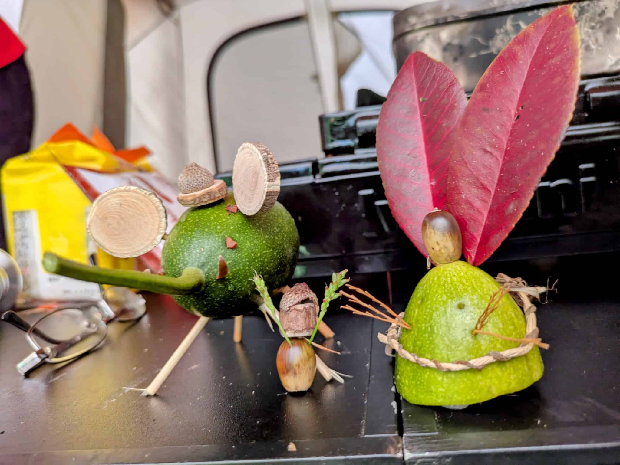 キカラスウリの動物たち