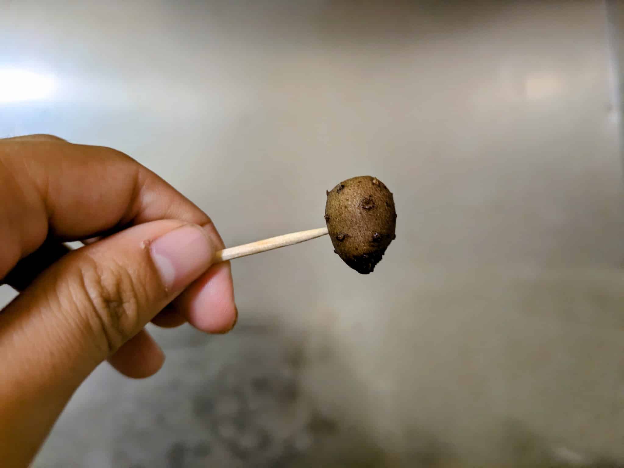 爪楊枝をむかごに刺して火の通りを確認している様子