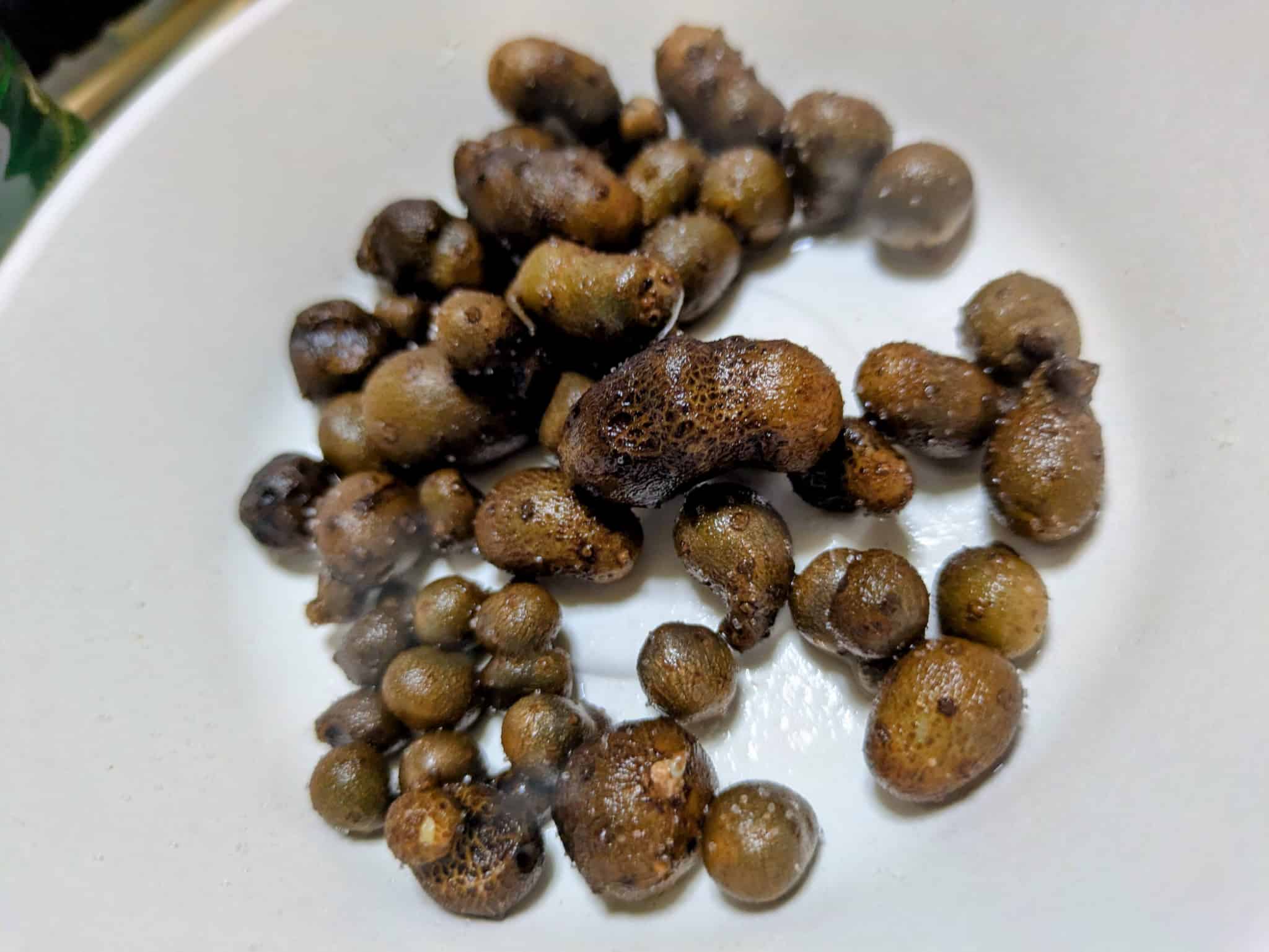 塩茹でされたむかご