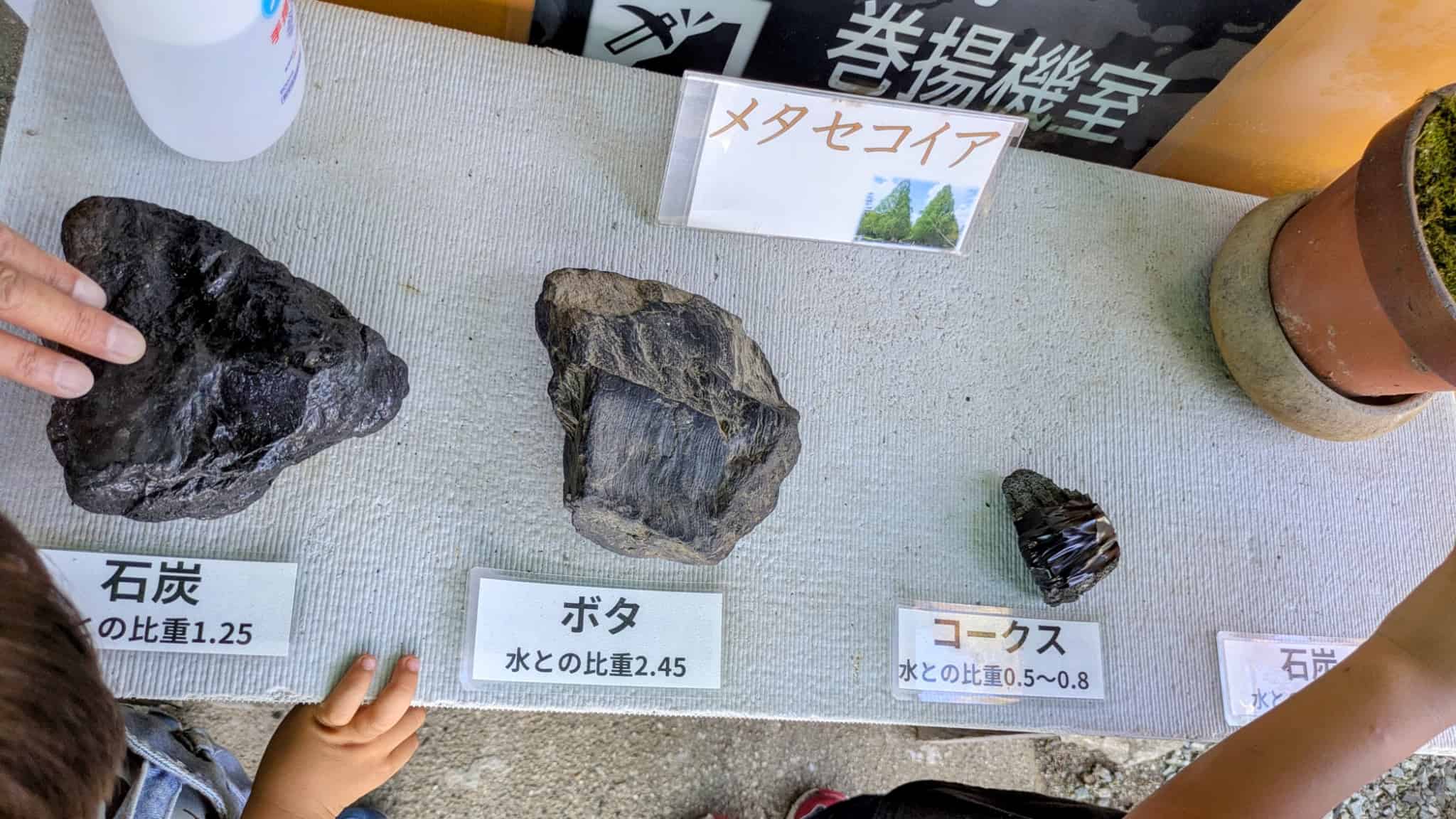 石炭、ボタ、コークスの実物が比較展示されている様子。
