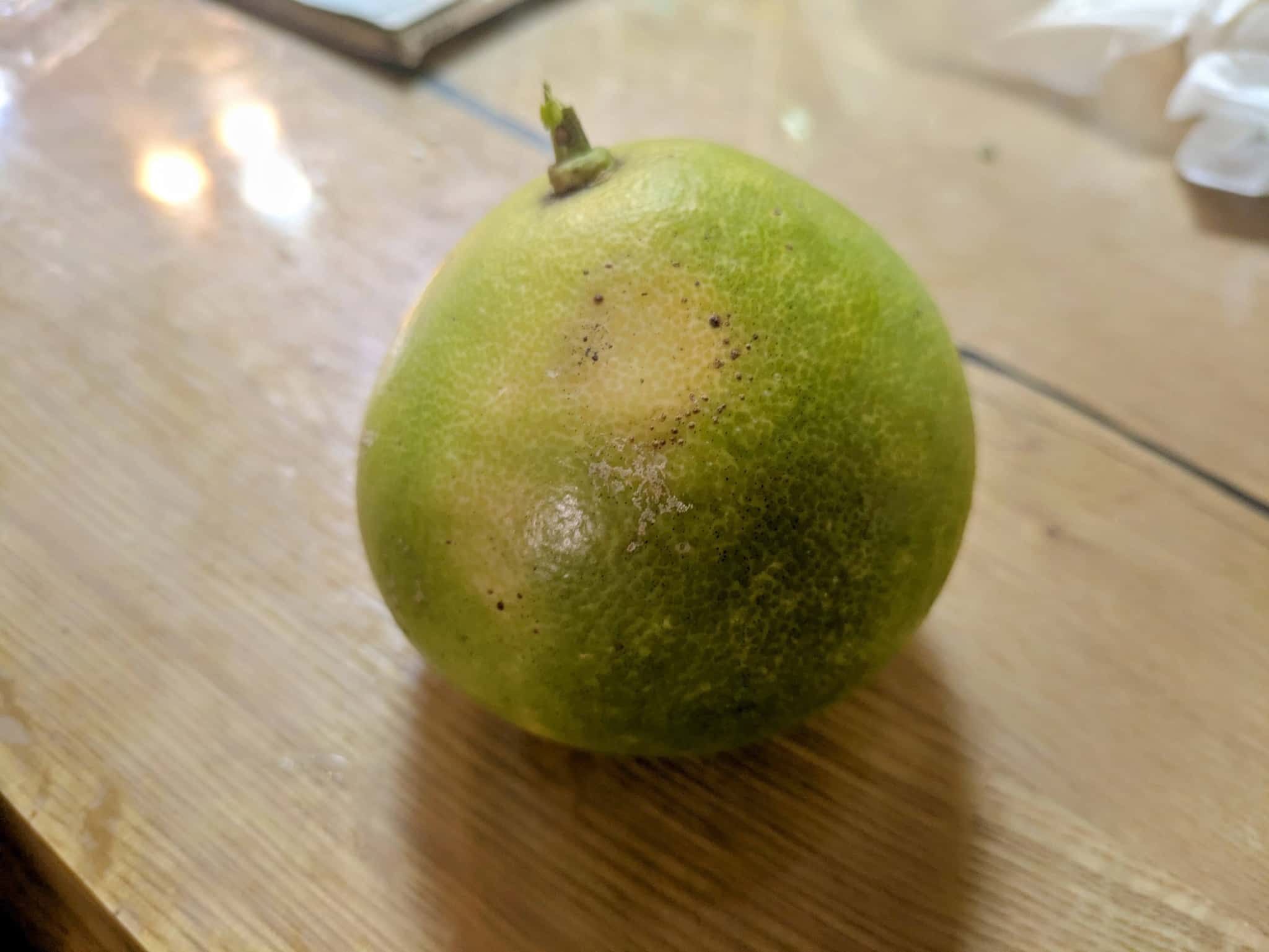 【新発見】柚子胡椒よりハマるかも？パール柑胡椒の作り方｜捨てちゃう皮が絶品薬味に！