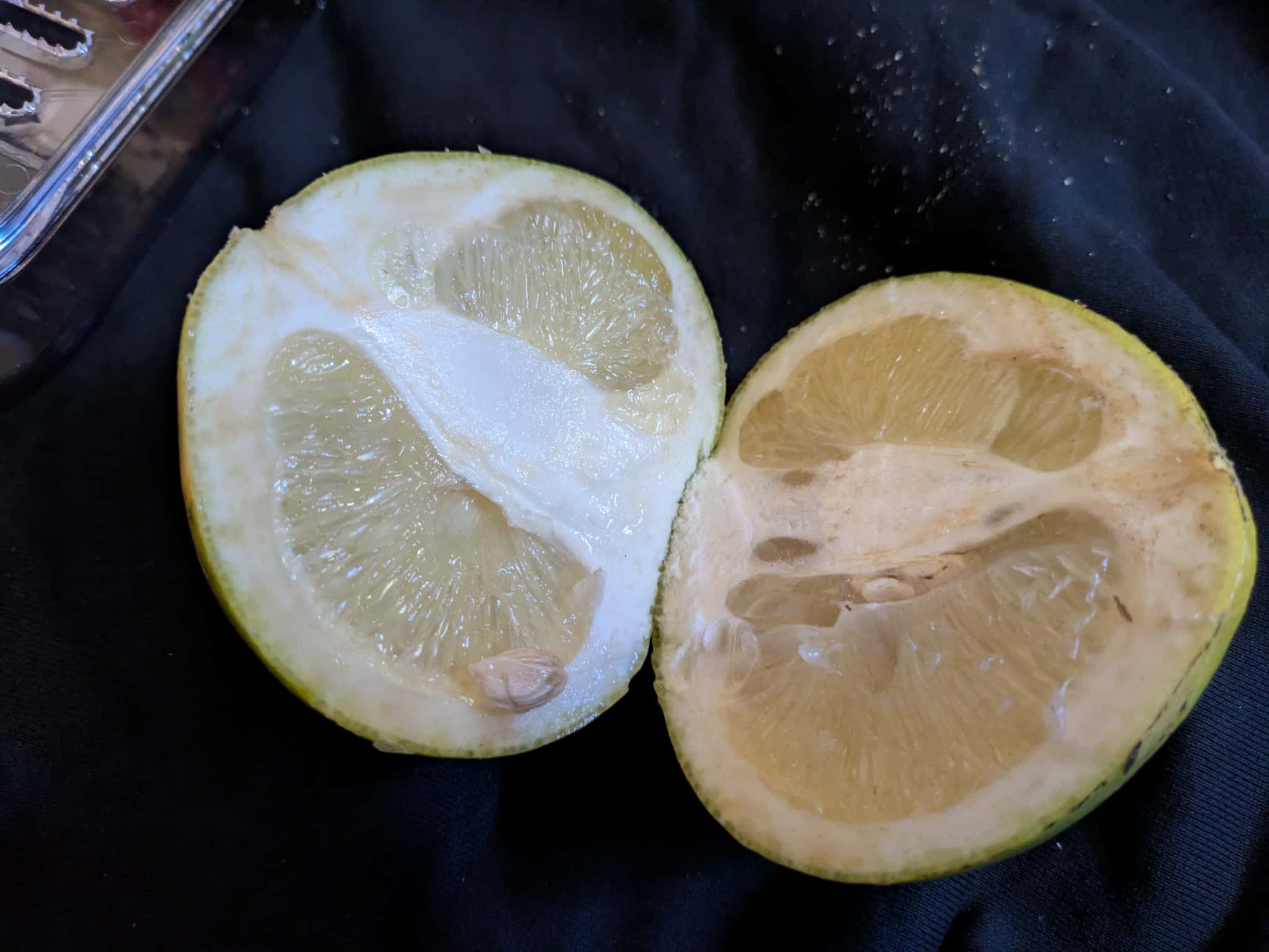 半分に割ったパール柑の断面