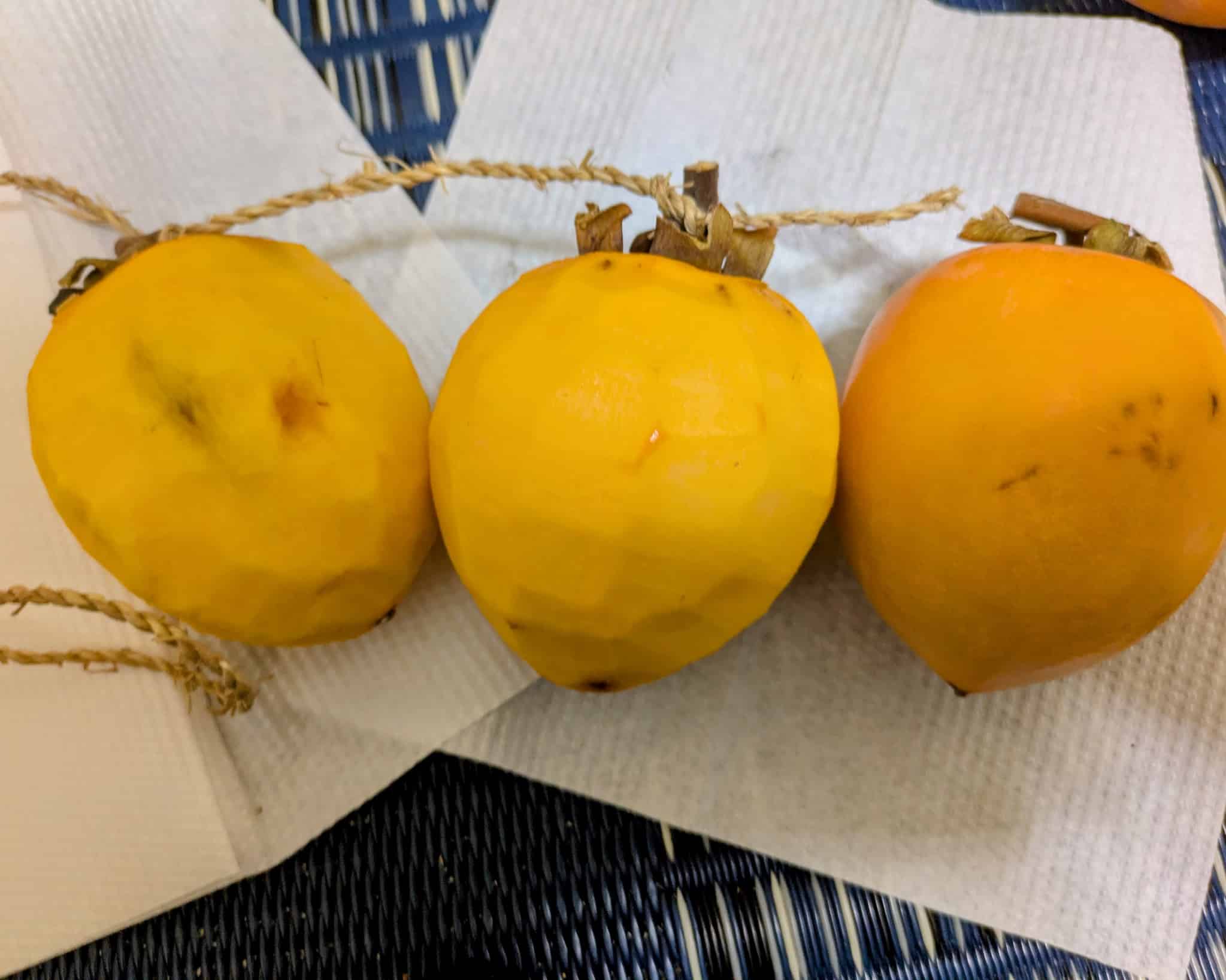 ナイフで皮をむいて紐で枝を結ぶ