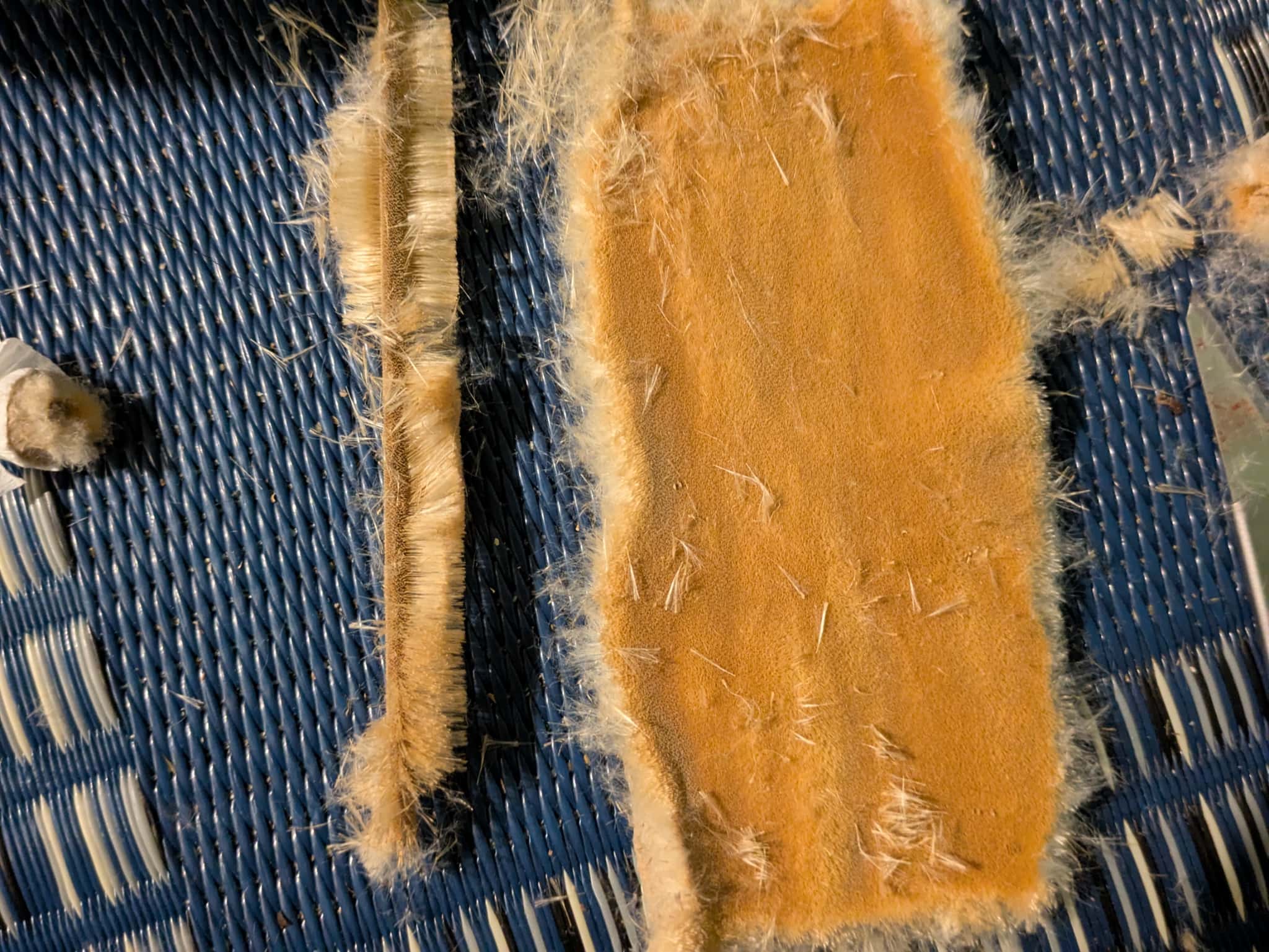 開いていく様子