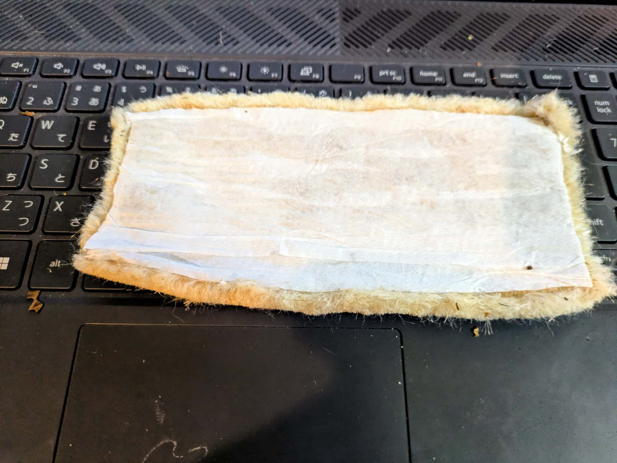 裏側の様子（キッチンペーパー）