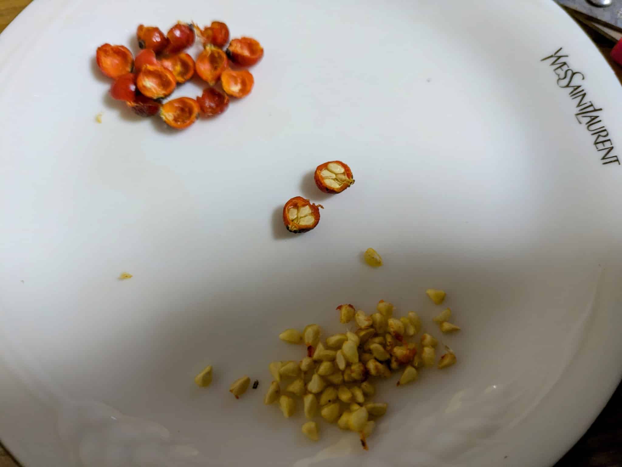 中に詰まった種