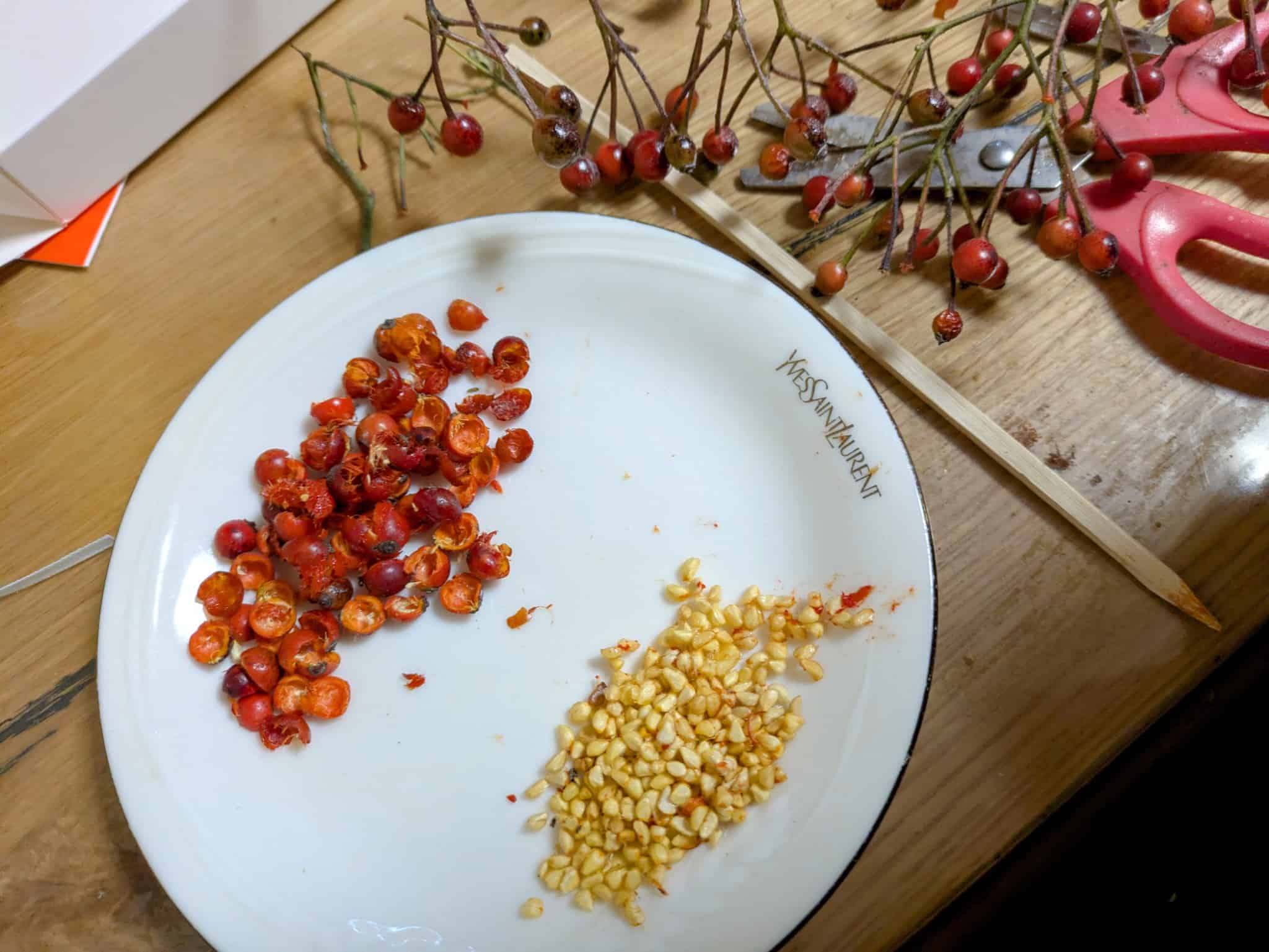 下処理後のローズヒップ