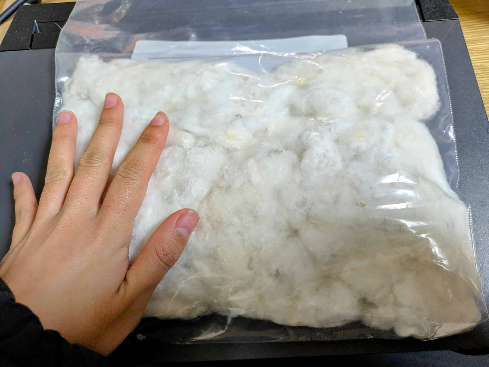 購入させていただいた綿花と繭