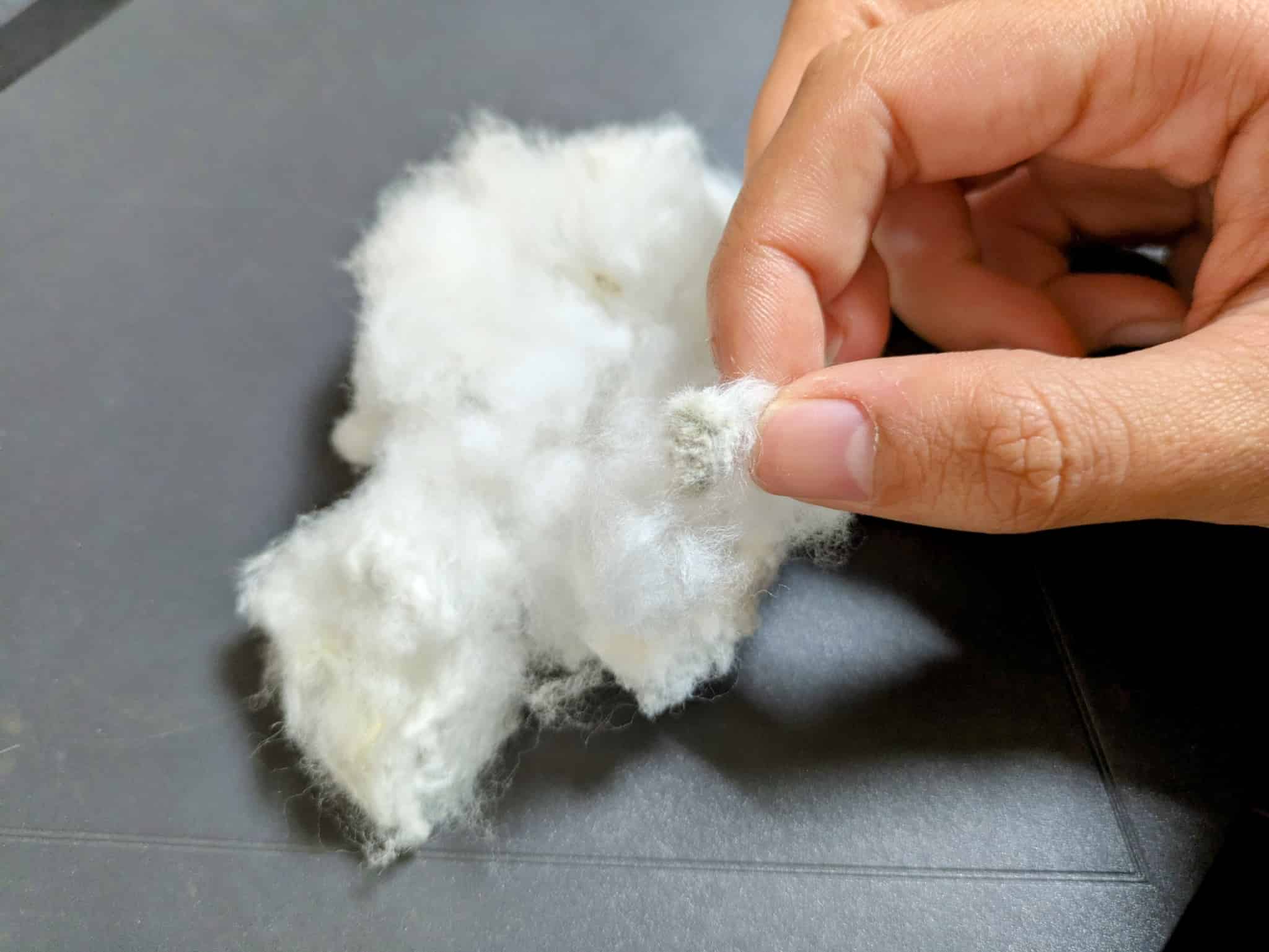 手作業での種取り