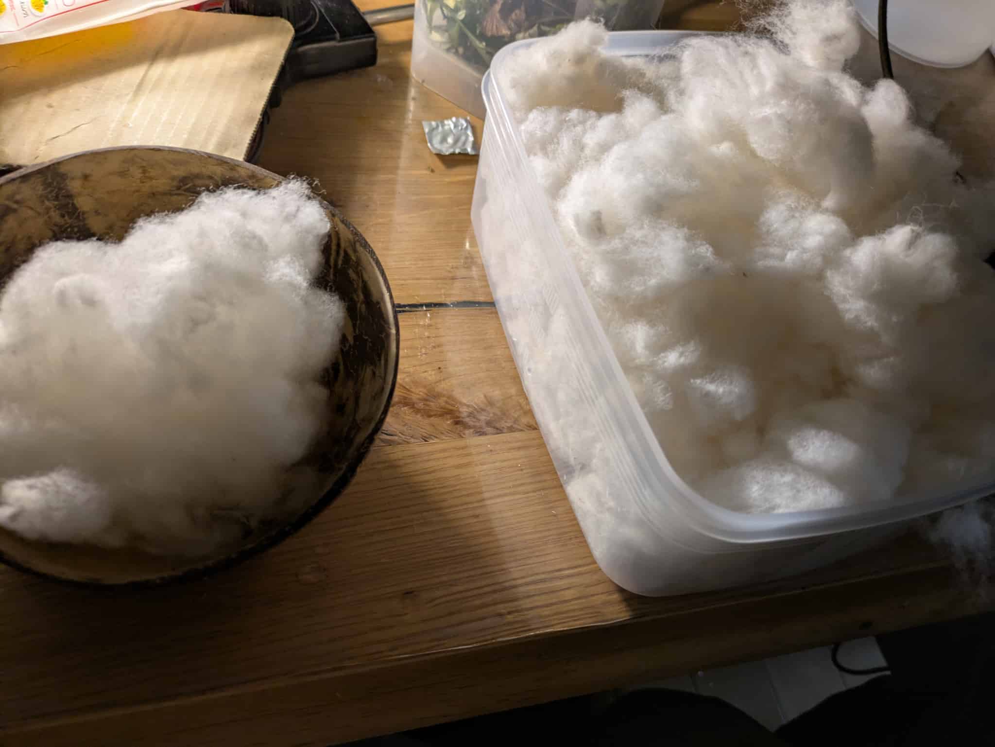 ブラッシング前後の比較