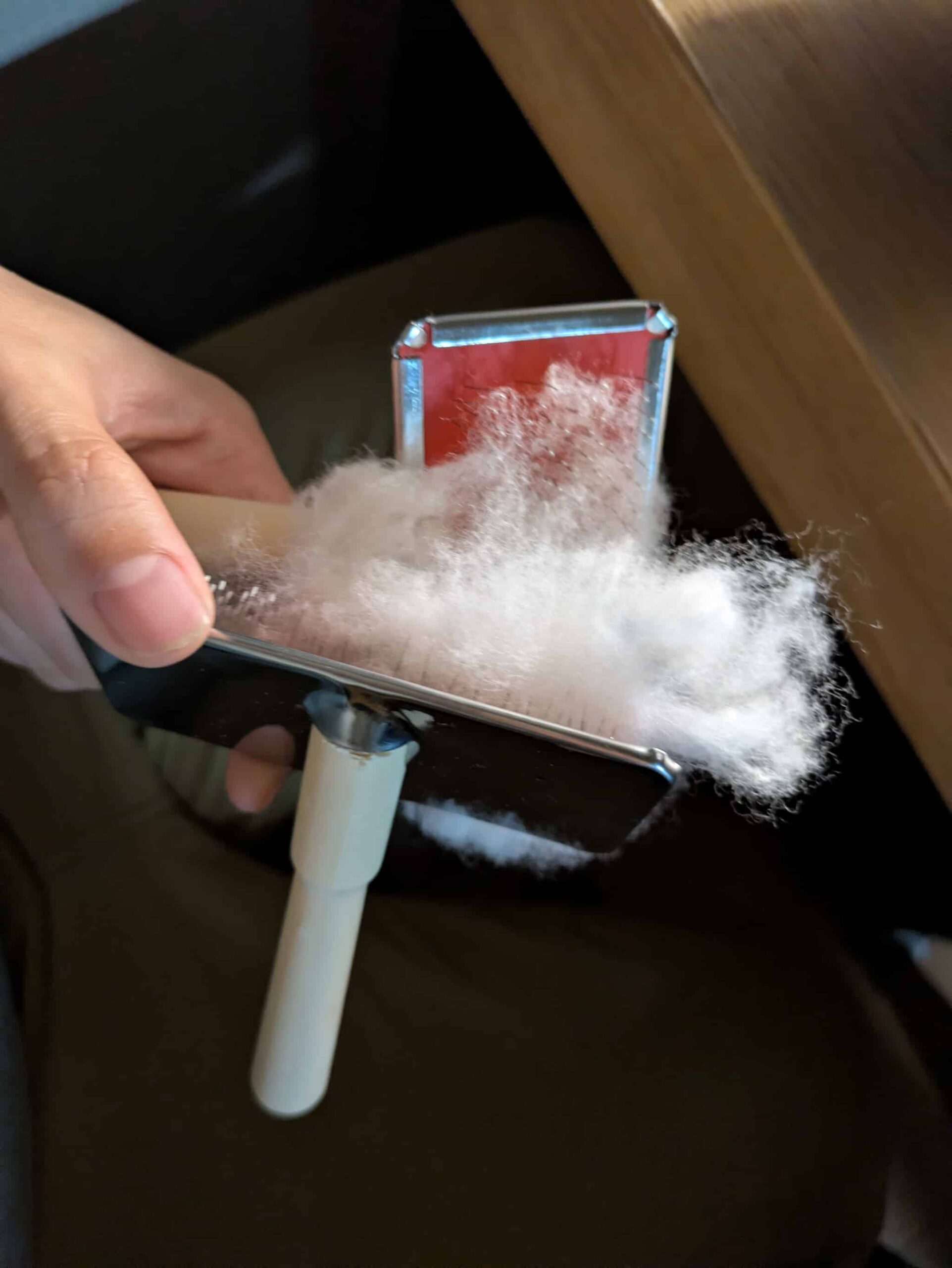 ブラシでカーディング