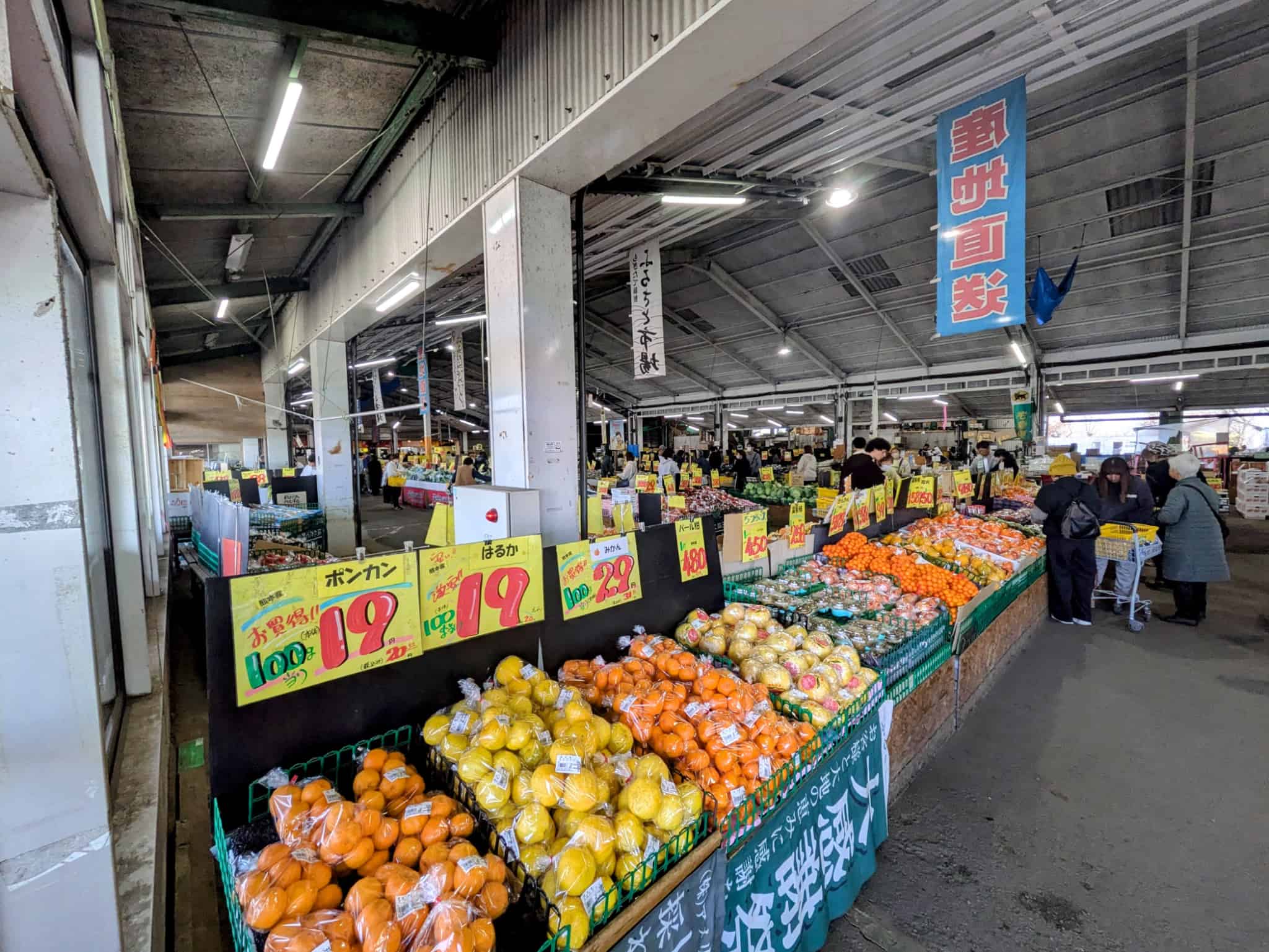 熊本キャンプ買い出しの聖地！益城「ふるさと市場」で野菜も木箱もゲット？【ママキャンパー実録】