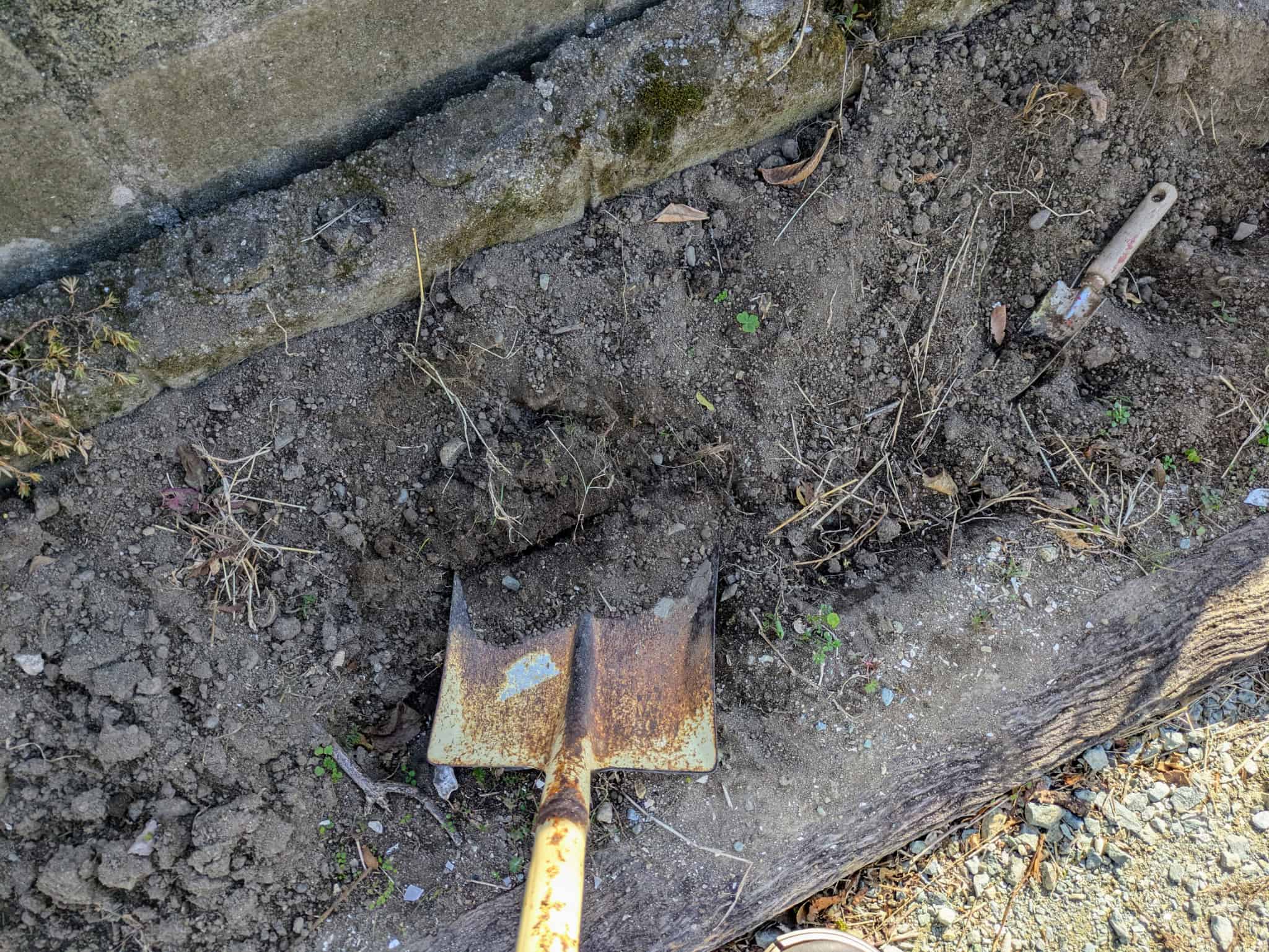 バケツに入った古い土