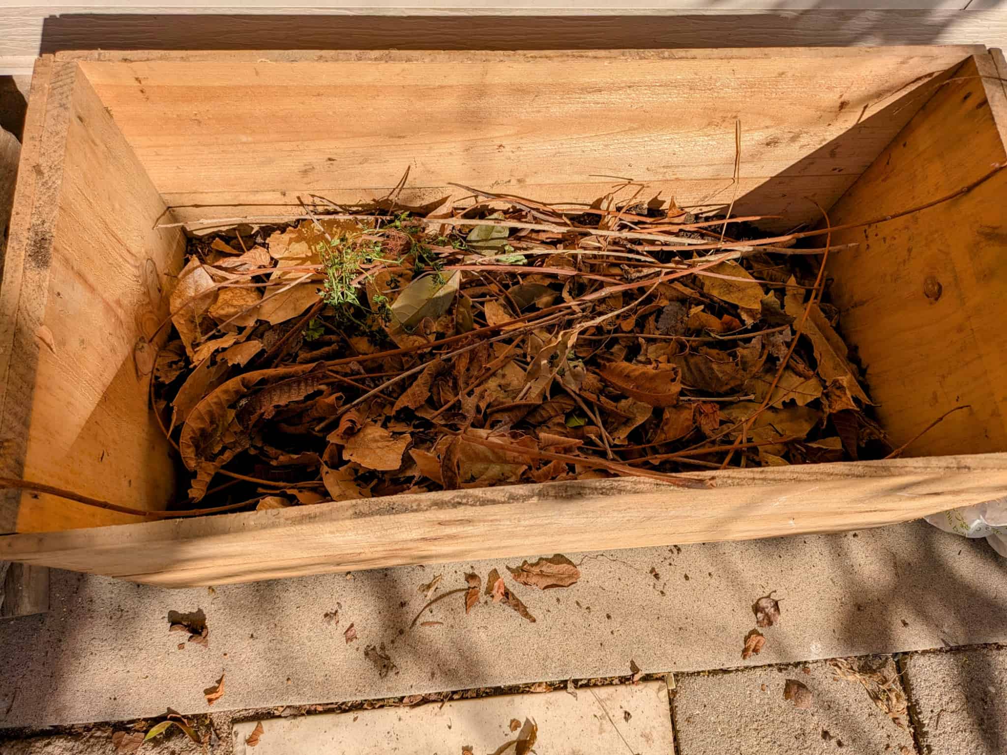 さらに土を追加